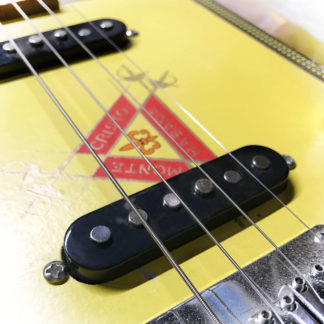 Black Single Coil Pickups